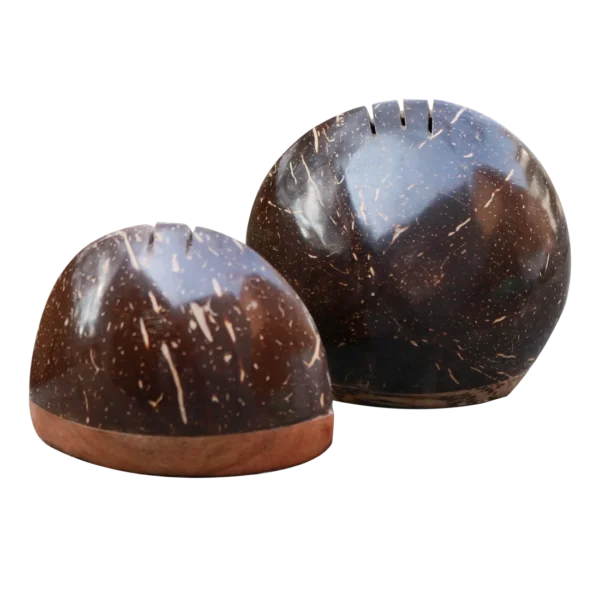 Coconut Salt Set