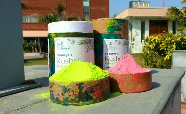 Natural Holi Color - 4 Colors - Total 800gm